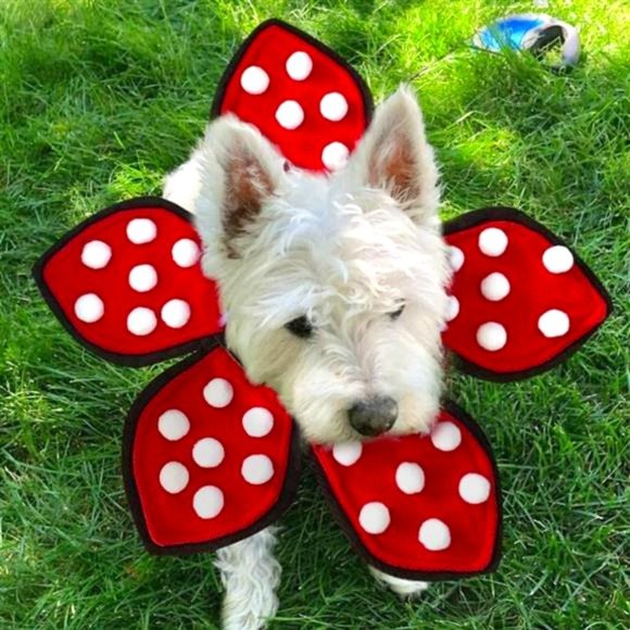 Dog Adjustable Cats Dogs Cosplay Pet Halloween Costume Stranger